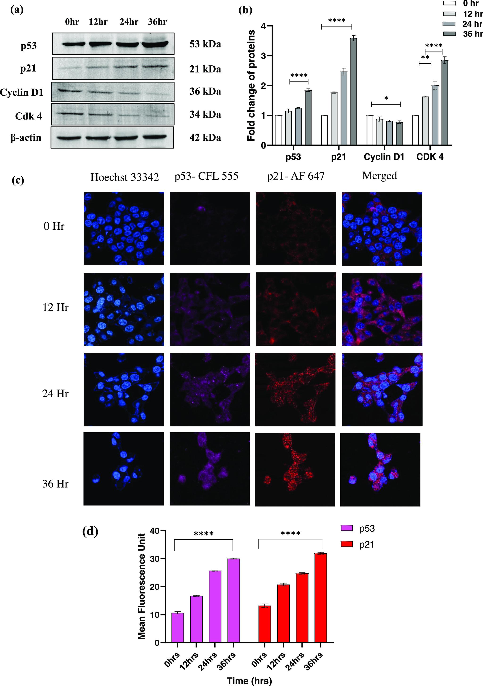 https://cdn.ncbi.nlm.nih.gov/pmc/blobs/7a65/10569019/7125adf20a7f/ao3c03933_0006.jpg