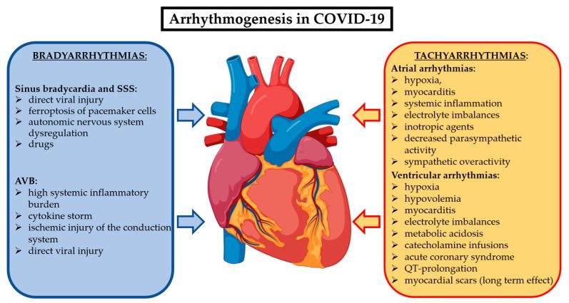 https://cdn.ncbi.nlm.nih.gov/pmc/blobs/7a65/11642268/b1c7a94a3c58/jcm-13-07259-g002.jpg
