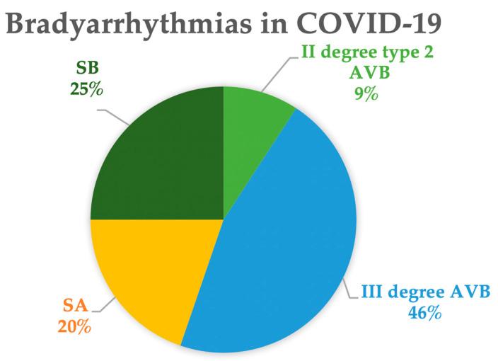 https://cdn.ncbi.nlm.nih.gov/pmc/blobs/7a65/11642268/dedac209f0fd/jcm-13-07259-g003.jpg