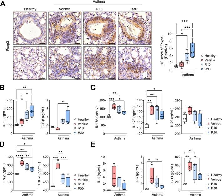 https://cdn.ncbi.nlm.nih.gov/pmc/blobs/7a65/12186593/e103a8171004/ALL-80-1647-g004.jpg