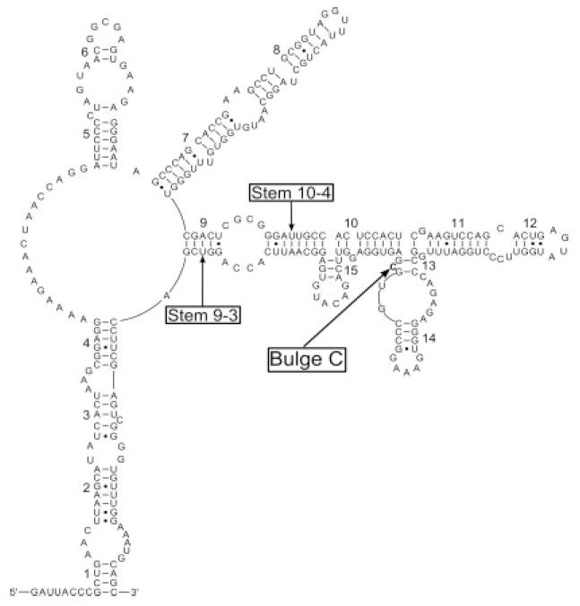 https://cdn.ncbi.nlm.nih.gov/pmc/blobs/7a65/4316562/bc3df36c3f7f/IJPA-9-319f2.jpg