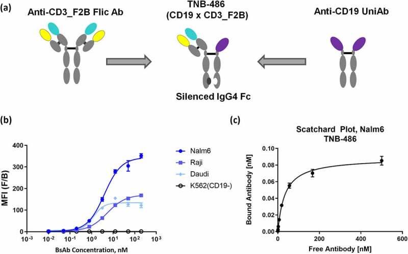 https://cdn.ncbi.nlm.nih.gov/pmc/blobs/7a66/8023237/eccc7c3ef97d/KMAB_A_1890411_F0002_OC.jpg
