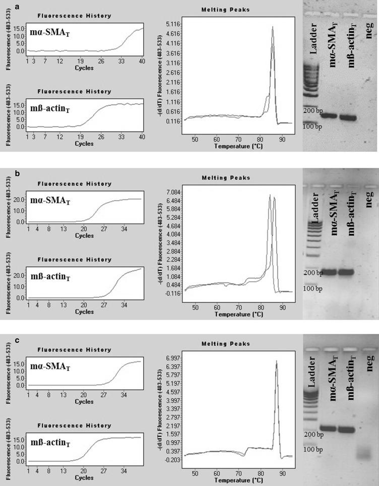 https://cdn.ncbi.nlm.nih.gov/pmc/blobs/7a67/5408491/006317e446ea/12867_2017_89_Fig8_HTML.jpg