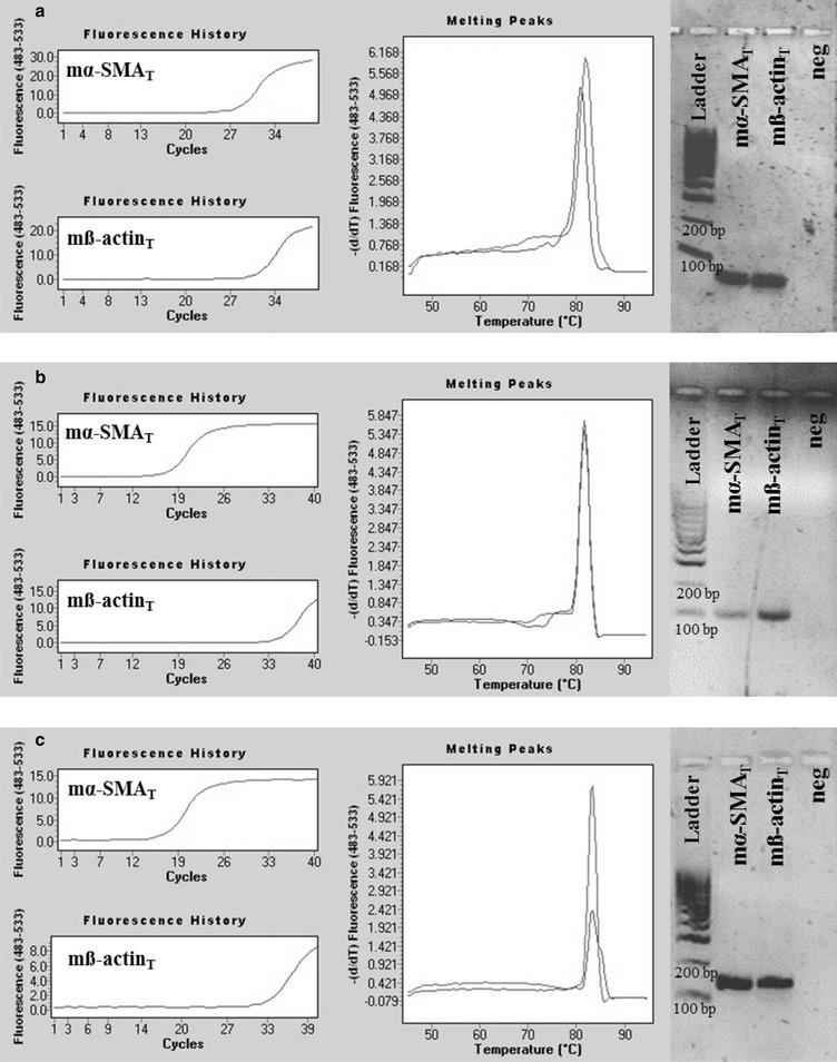https://cdn.ncbi.nlm.nih.gov/pmc/blobs/7a67/5408491/9d7eb13e948b/12867_2017_89_Fig7_HTML.jpg