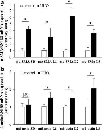https://cdn.ncbi.nlm.nih.gov/pmc/blobs/7a67/5408491/a9aff1f36e9b/12867_2017_89_Fig9_HTML.jpg