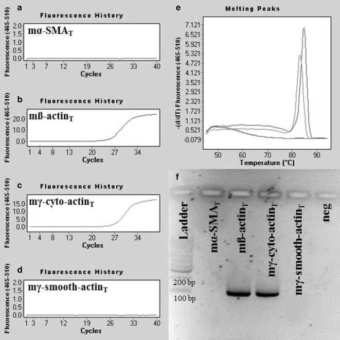 https://cdn.ncbi.nlm.nih.gov/pmc/blobs/7a67/5408491/e67a0a62704a/12867_2017_89_Fig3_HTML.jpg
