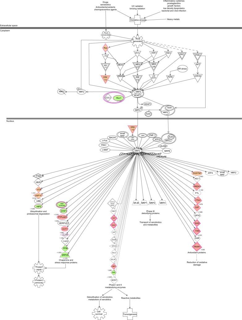 https://cdn.ncbi.nlm.nih.gov/pmc/blobs/7a69/4294653/13b065750bcf/dddt-9-349Fig15.jpg