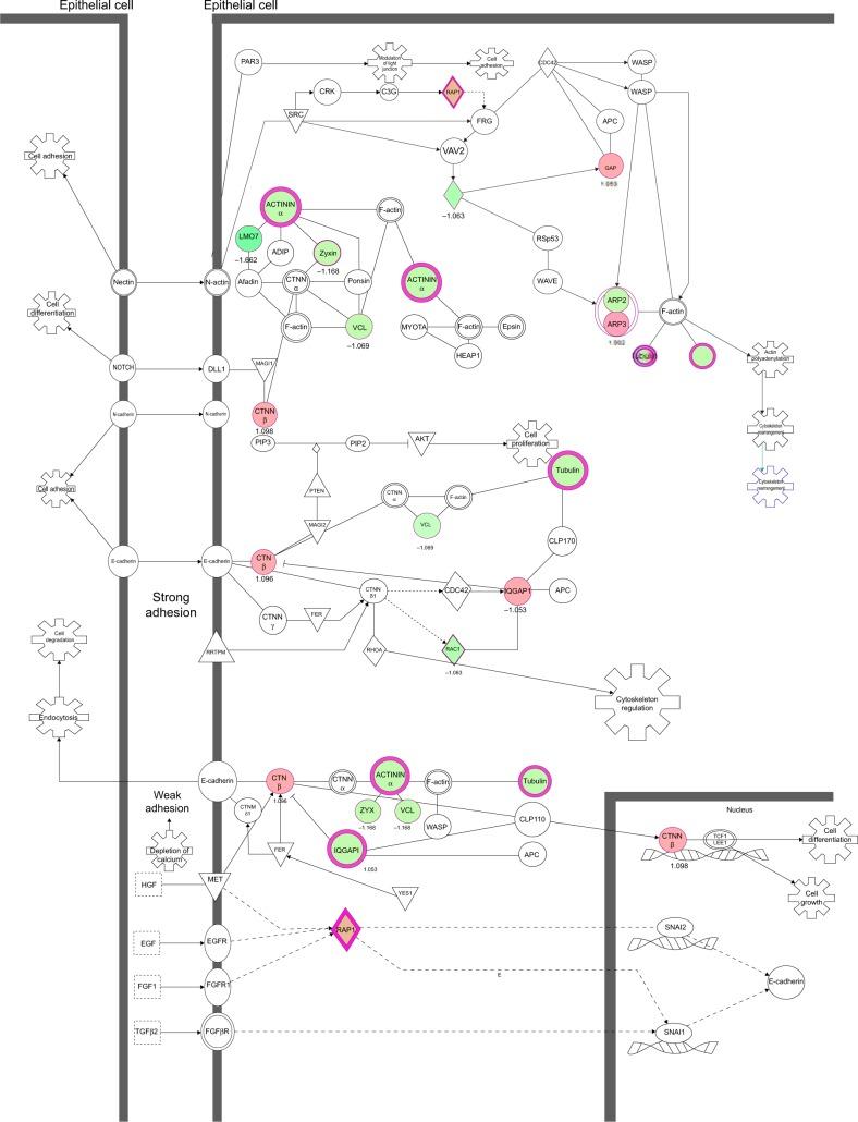 https://cdn.ncbi.nlm.nih.gov/pmc/blobs/7a69/4294653/190f42fc50af/dddt-9-349Fig14.jpg