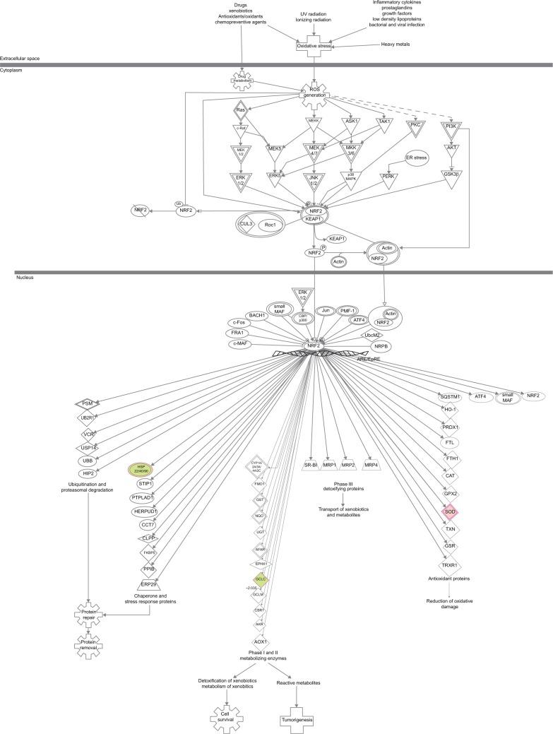 https://cdn.ncbi.nlm.nih.gov/pmc/blobs/7a69/4294653/1f4b6a2eb5f5/dddt-9-349Fig16.jpg