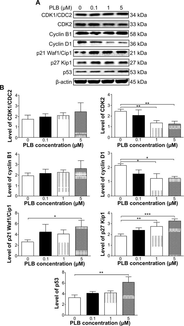https://cdn.ncbi.nlm.nih.gov/pmc/blobs/7a69/4294653/200d8b31e9db/dddt-9-349Fig20.jpg