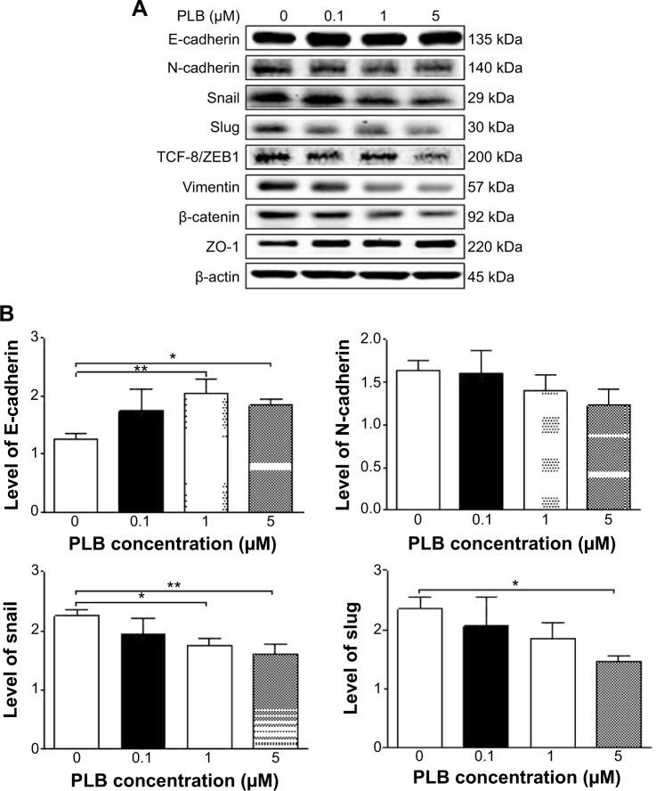 https://cdn.ncbi.nlm.nih.gov/pmc/blobs/7a69/4294653/443f639d524a/dddt-9-349Fig24.jpg