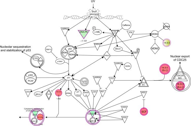https://cdn.ncbi.nlm.nih.gov/pmc/blobs/7a69/4294653/47ec29214c42/dddt-9-349Fig10.jpg