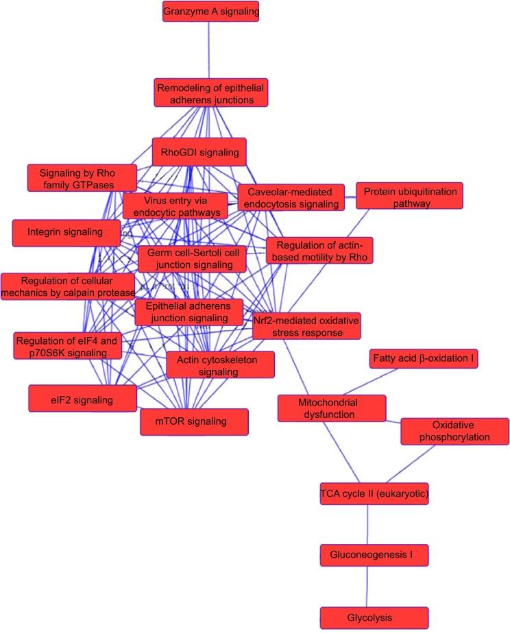 https://cdn.ncbi.nlm.nih.gov/pmc/blobs/7a69/4294653/4ff1feab5554/dddt-9-349Fig8.jpg
