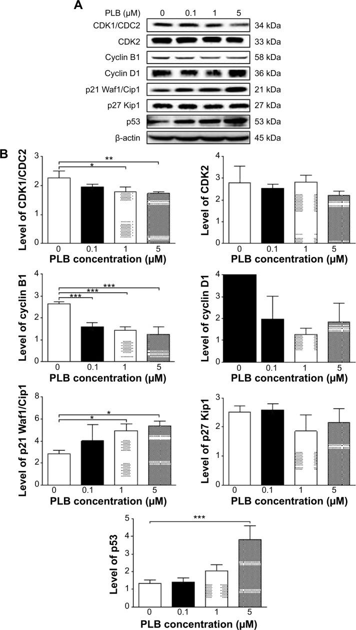 https://cdn.ncbi.nlm.nih.gov/pmc/blobs/7a69/4294653/54248326ef27/dddt-9-349Fig19.jpg