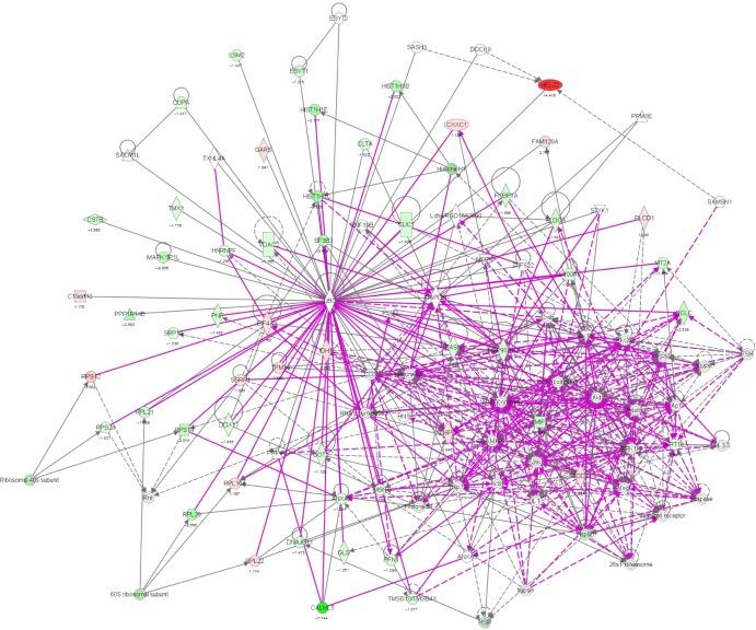 https://cdn.ncbi.nlm.nih.gov/pmc/blobs/7a69/4294653/5e9cbdc45504/dddt-9-349Fig7.jpg