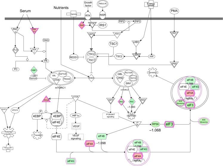 https://cdn.ncbi.nlm.nih.gov/pmc/blobs/7a69/4294653/83acab82383c/dddt-9-349Fig12.jpg