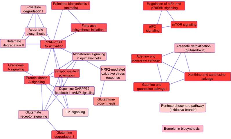 https://cdn.ncbi.nlm.nih.gov/pmc/blobs/7a69/4294653/98ac6830c3f0/dddt-9-349Fig9.jpg