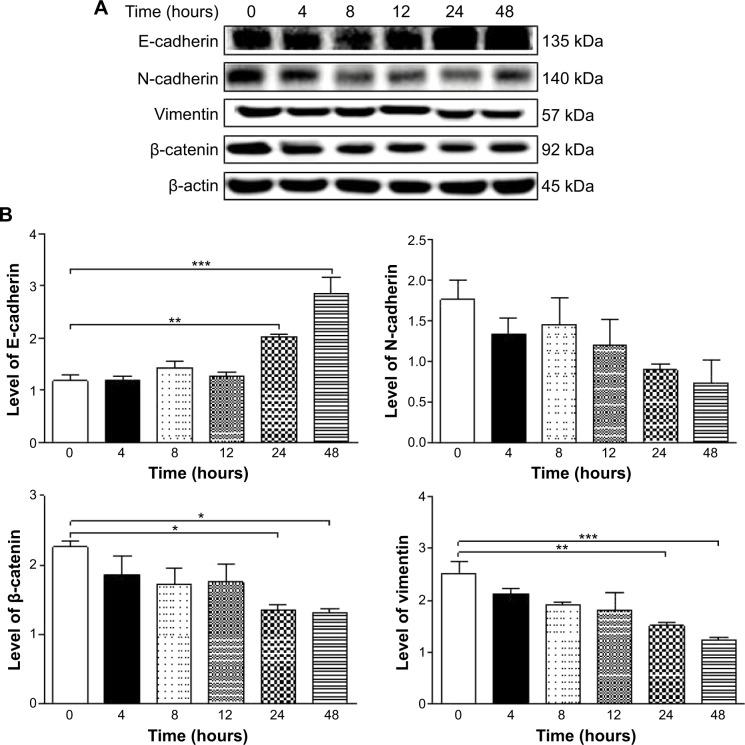 https://cdn.ncbi.nlm.nih.gov/pmc/blobs/7a69/4294653/99087b39655a/dddt-9-349Fig25.jpg