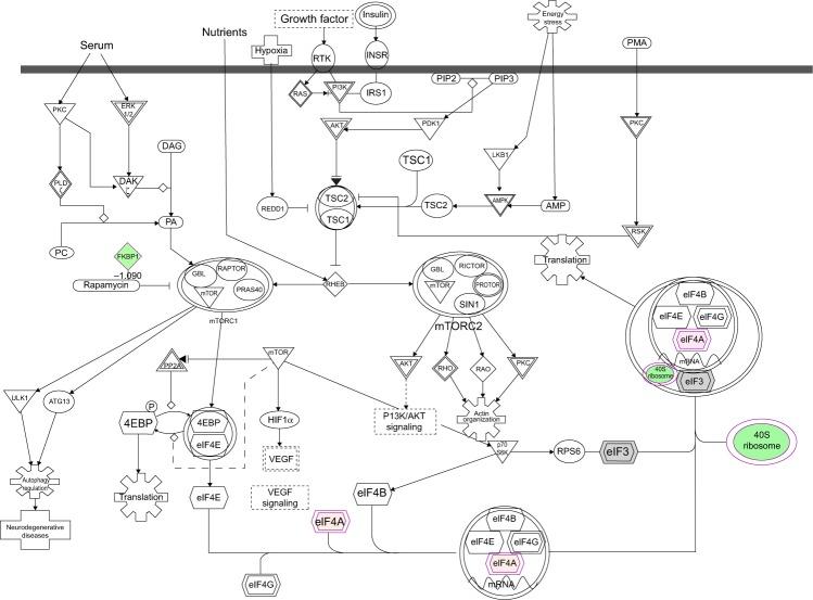 https://cdn.ncbi.nlm.nih.gov/pmc/blobs/7a69/4294653/bc15ffc93f0c/dddt-9-349Fig13.jpg