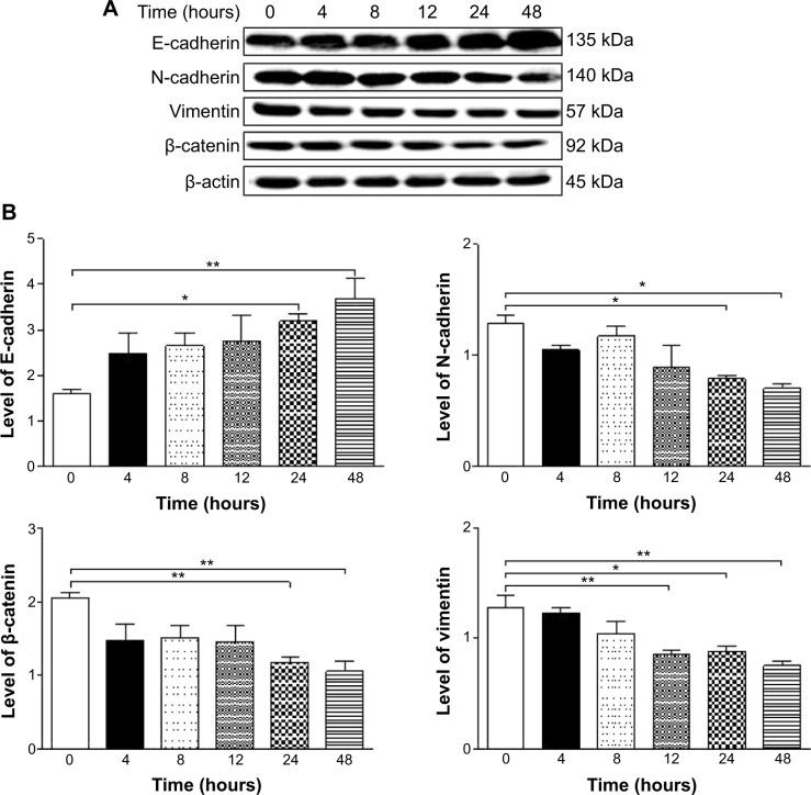 https://cdn.ncbi.nlm.nih.gov/pmc/blobs/7a69/4294653/ecbcb8e026d3/dddt-9-349Fig26.jpg