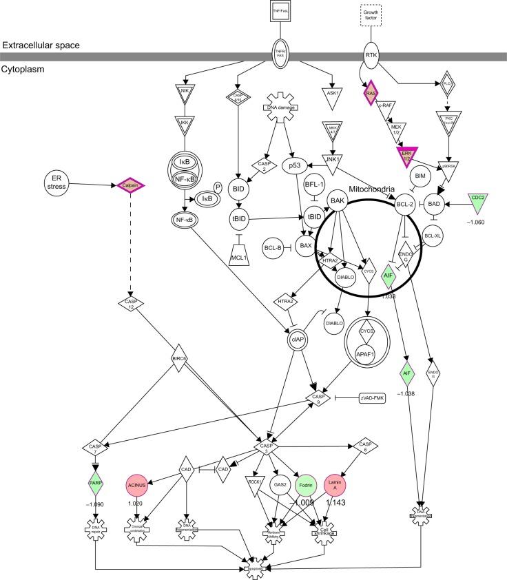https://cdn.ncbi.nlm.nih.gov/pmc/blobs/7a69/4294653/f618302230cd/dddt-9-349Fig11.jpg