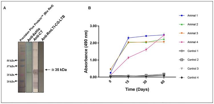 https://cdn.ncbi.nlm.nih.gov/pmc/blobs/7a6f/5802849/504dd1e05c35/pone.0191596.g006.jpg