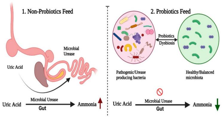 https://cdn.ncbi.nlm.nih.gov/pmc/blobs/7a70/12383213/8d18ef051783/antibiotics-14-00846-g002.jpg