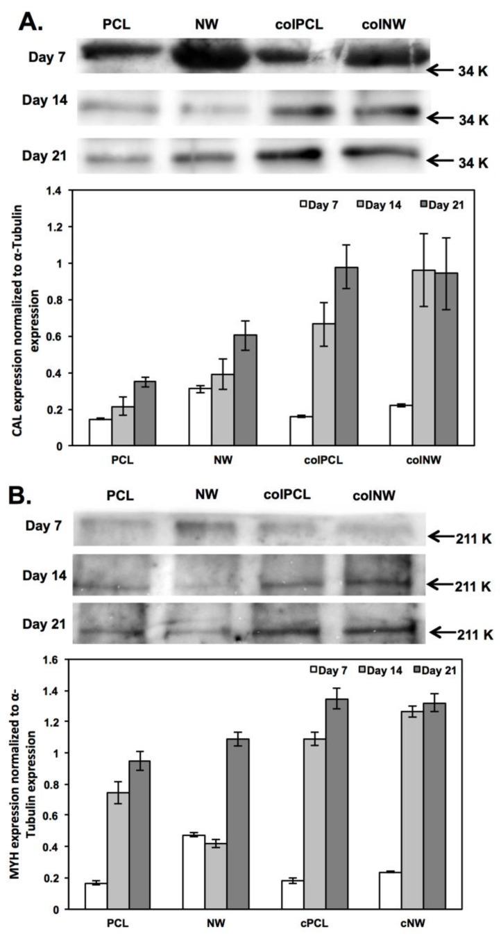 https://cdn.ncbi.nlm.nih.gov/pmc/blobs/7a70/4099974/f1f8348fde8a/jfb-05-00058-g009.jpg