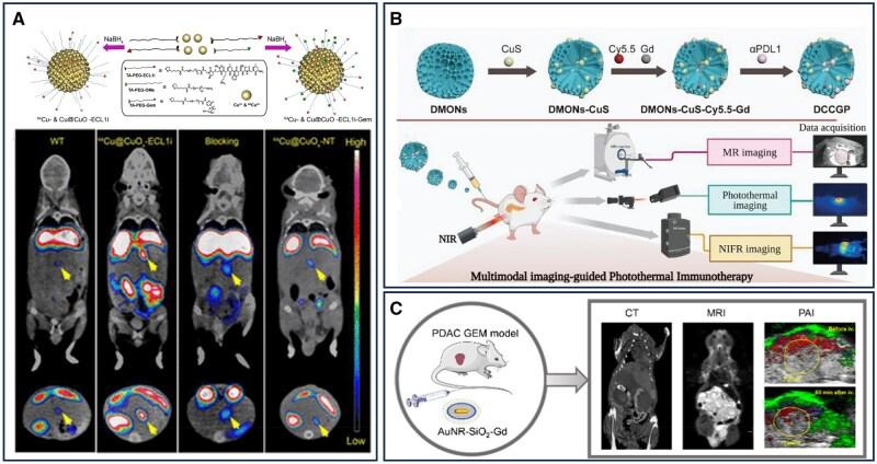 https://cdn.ncbi.nlm.nih.gov/pmc/blobs/7a71/12202761/6004b34a4899/rbaf054f6.jpg