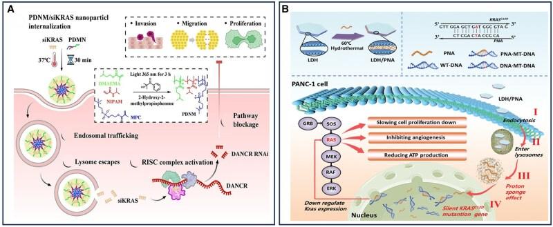 https://cdn.ncbi.nlm.nih.gov/pmc/blobs/7a71/12202761/ec0d354c56e5/rbaf054f10.jpg