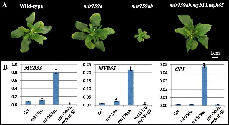 https://cdn.ncbi.nlm.nih.gov/pmc/blobs/7a71/4992245/0a2a7eea00c9/12870_2016_867_Fig4_HTML.jpg