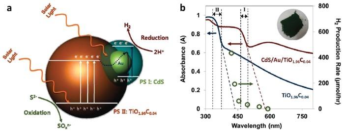 https://cdn.ncbi.nlm.nih.gov/pmc/blobs/7a73/7141076/bbca1fbe5c0c/ADVS-7-1903171-g017.jpg