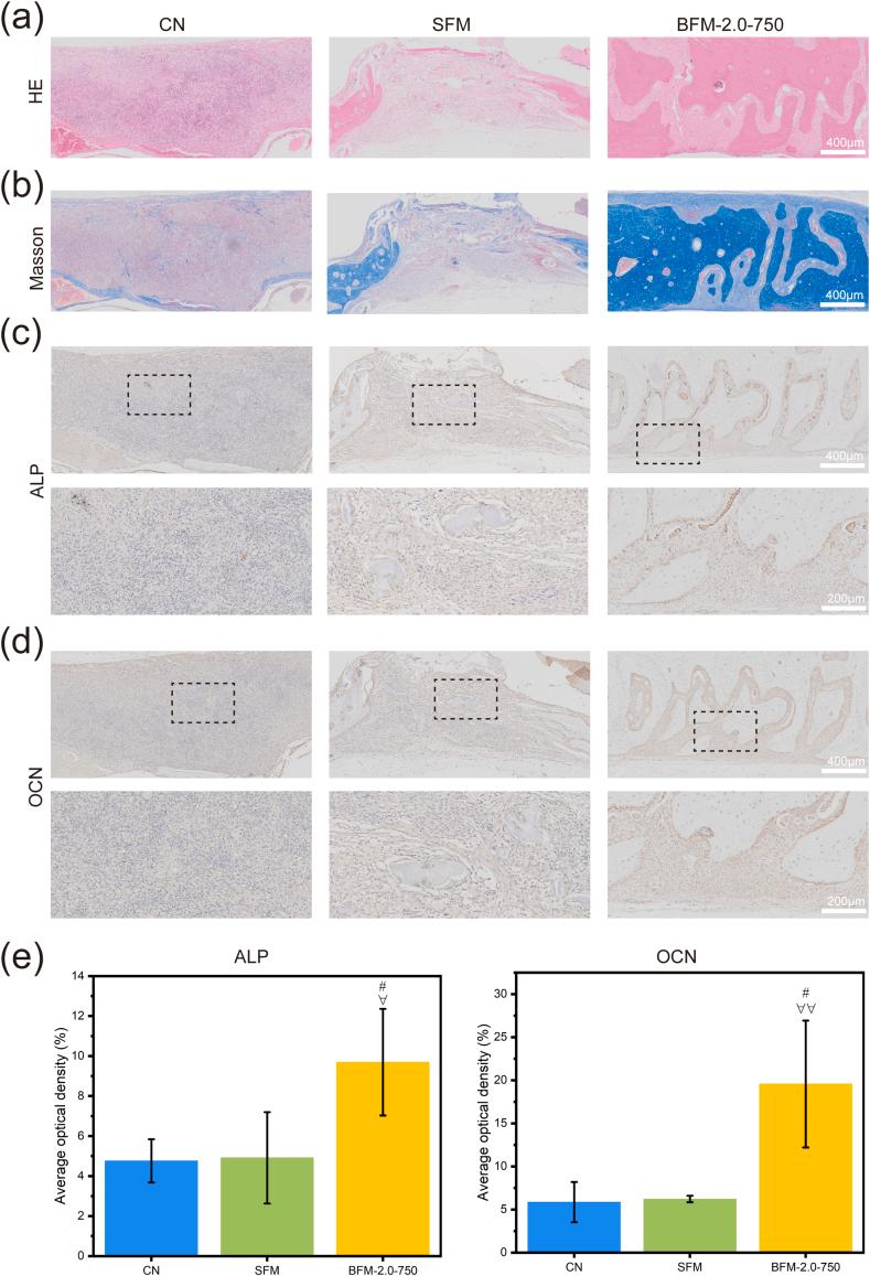 https://cdn.ncbi.nlm.nih.gov/pmc/blobs/7a75/11407074/66752a40e741/gr7.jpg
