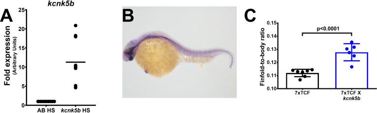 https://cdn.ncbi.nlm.nih.gov/pmc/blobs/7a77/8110307/0953f89aba59/elife-60691-fig2-figsupp1.jpg