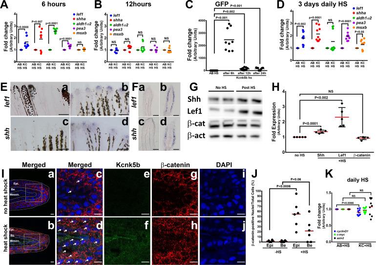 https://cdn.ncbi.nlm.nih.gov/pmc/blobs/7a77/8110307/703b35d3177d/elife-60691-fig1.jpg