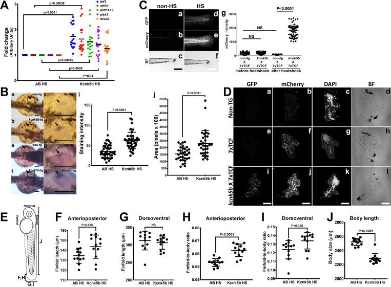 https://cdn.ncbi.nlm.nih.gov/pmc/blobs/7a77/8110307/954904d8bf32/elife-60691-fig2.jpg