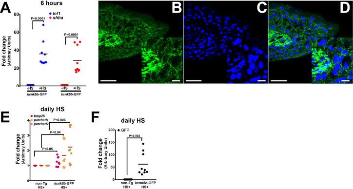 https://cdn.ncbi.nlm.nih.gov/pmc/blobs/7a77/8110307/f4191d0403b6/elife-60691-fig1-figsupp1.jpg