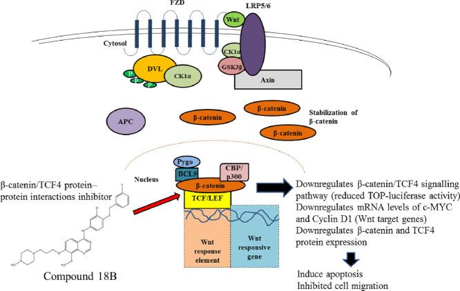 https://cdn.ncbi.nlm.nih.gov/pmc/blobs/7a77/8938628/fd34b90edc97/ga1.jpg