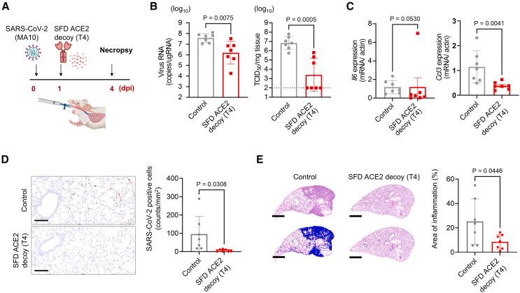 https://cdn.ncbi.nlm.nih.gov/pmc/blobs/7a78/12019485/0ab01b0a755d/gr4.jpg