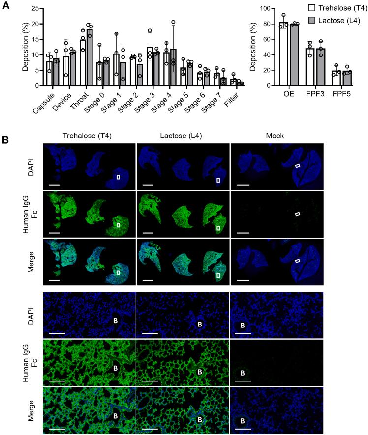 https://cdn.ncbi.nlm.nih.gov/pmc/blobs/7a78/12019485/76aa0c580d18/gr2.jpg