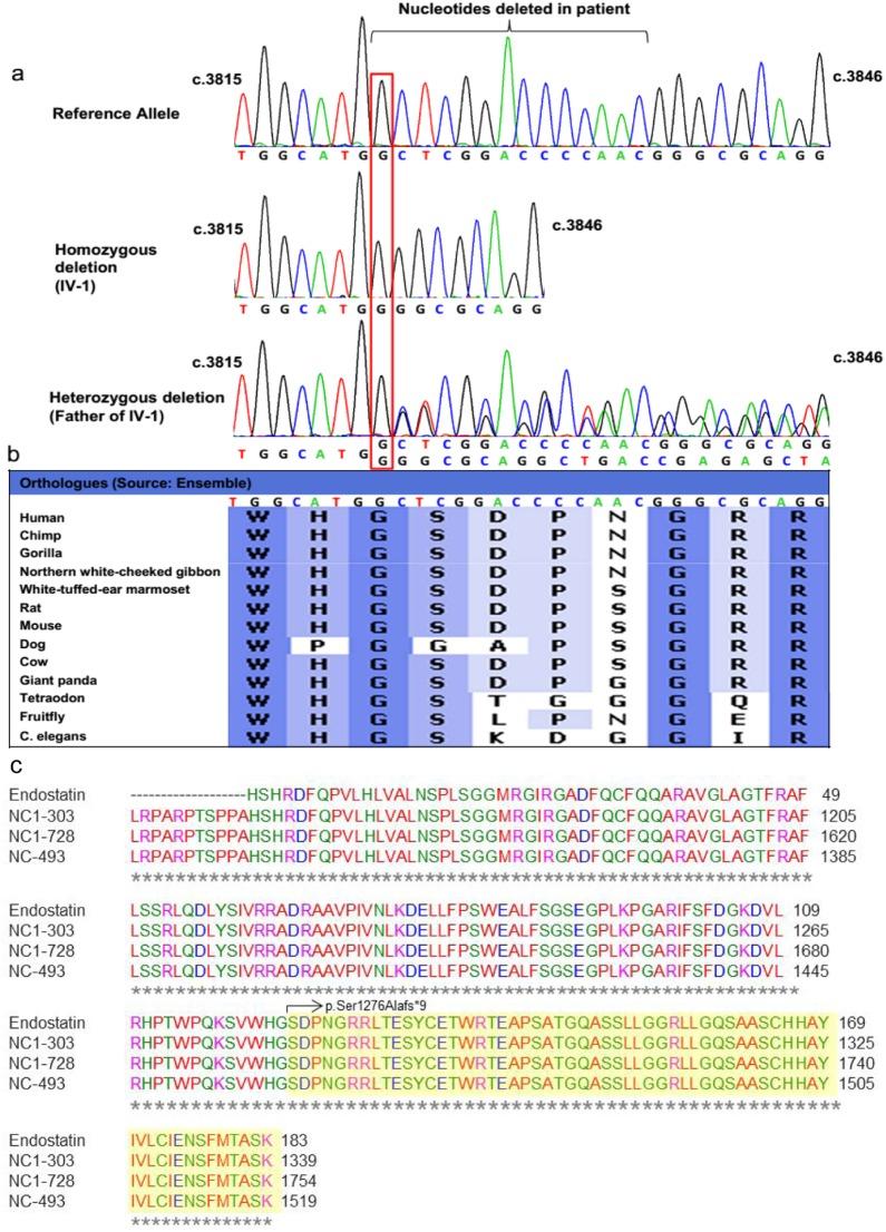 https://cdn.ncbi.nlm.nih.gov/pmc/blobs/7a7a/4231049/2cf58c96481a/pone.0112747.g003.jpg