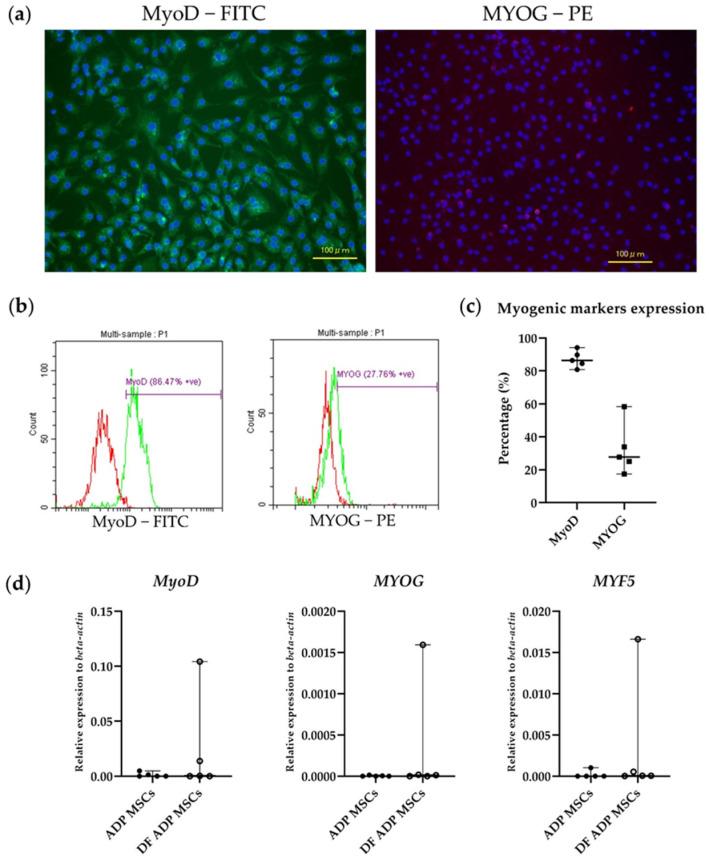 https://cdn.ncbi.nlm.nih.gov/pmc/blobs/7a7b/10886144/2b9cc2156be8/biology-13-00072-g010.jpg