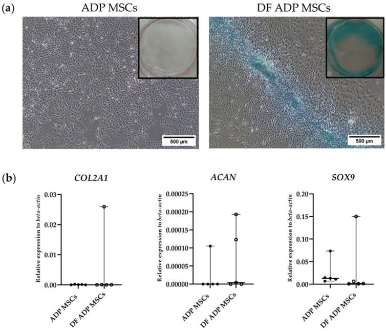 https://cdn.ncbi.nlm.nih.gov/pmc/blobs/7a7b/10886144/67e668a02c6d/biology-13-00072-g008.jpg