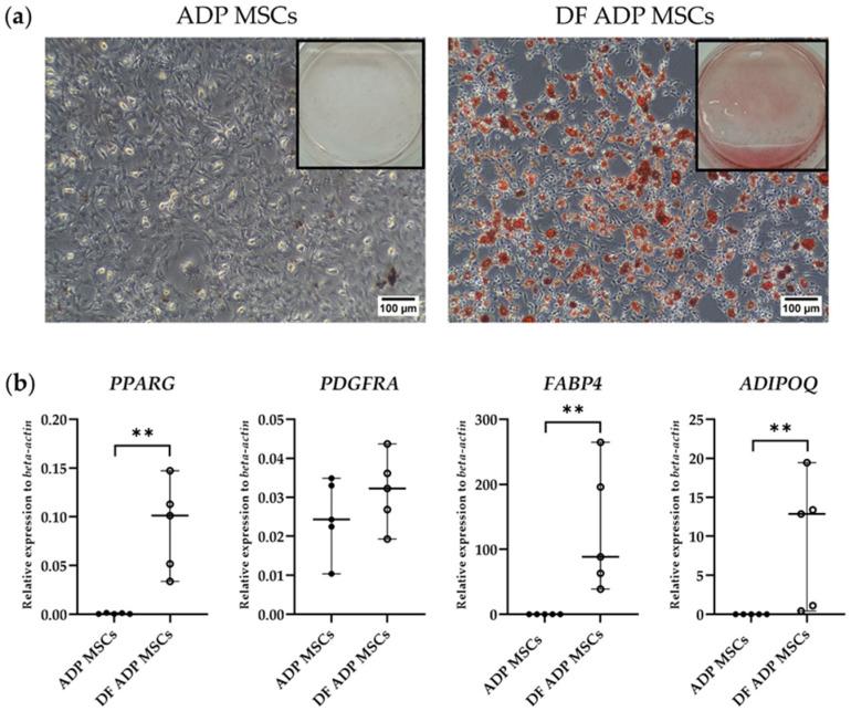 https://cdn.ncbi.nlm.nih.gov/pmc/blobs/7a7b/10886144/a26ca03b3e31/biology-13-00072-g006.jpg