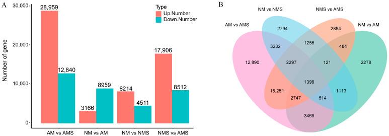 https://cdn.ncbi.nlm.nih.gov/pmc/blobs/7a7f/12387890/7643dba0ec12/jof-11-00587-g002.jpg