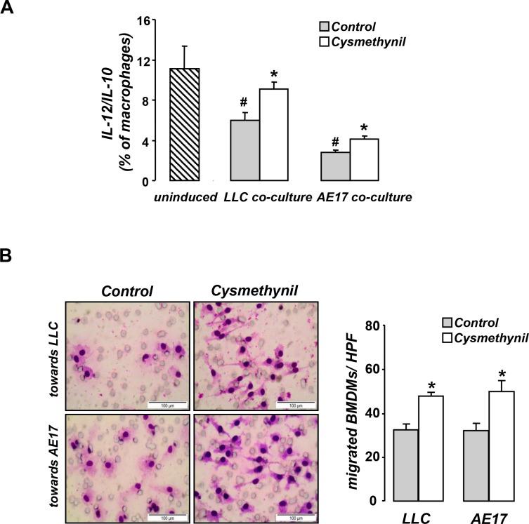 https://cdn.ncbi.nlm.nih.gov/pmc/blobs/7a7f/4991451/b5eacc0afb19/oncotarget-07-20249-g005.jpg