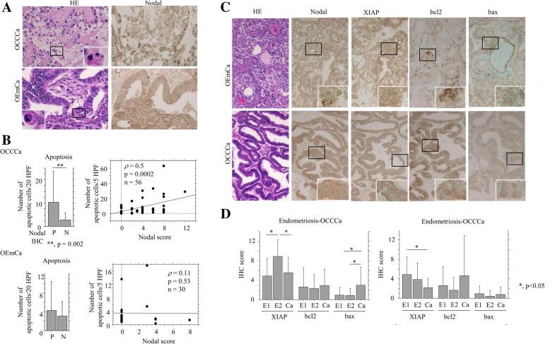 https://cdn.ncbi.nlm.nih.gov/pmc/blobs/7a81/6448249/7d9e5714ffc7/12885_2019_5539_Fig4_HTML.jpg