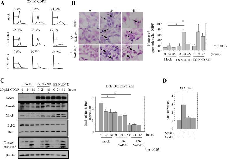 https://cdn.ncbi.nlm.nih.gov/pmc/blobs/7a81/6448249/b74c818bd54b/12885_2019_5539_Fig5_HTML.jpg
