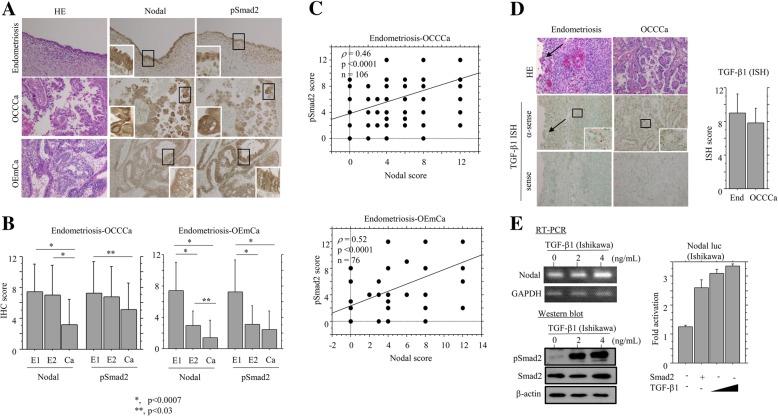 https://cdn.ncbi.nlm.nih.gov/pmc/blobs/7a81/6448249/c06a030dcf30/12885_2019_5539_Fig2_HTML.jpg