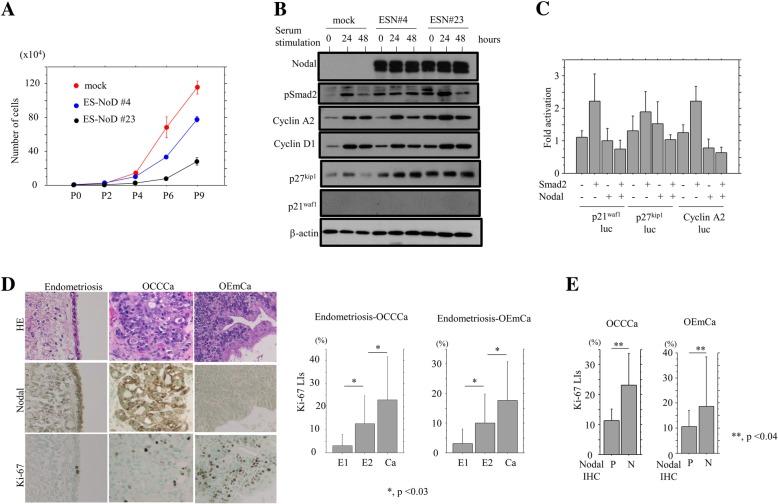 https://cdn.ncbi.nlm.nih.gov/pmc/blobs/7a81/6448249/db02aa3830bd/12885_2019_5539_Fig6_HTML.jpg